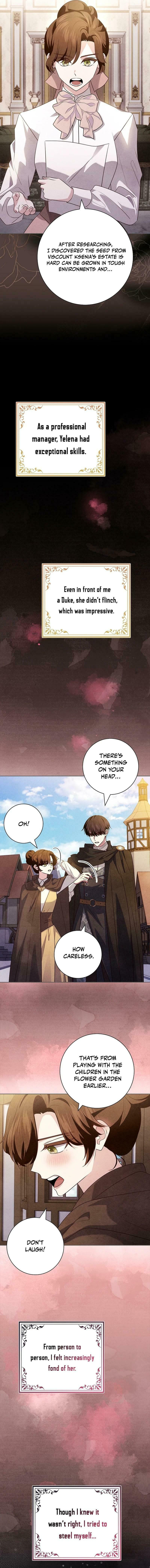 Leave the Divorce to a Professional Lawyer