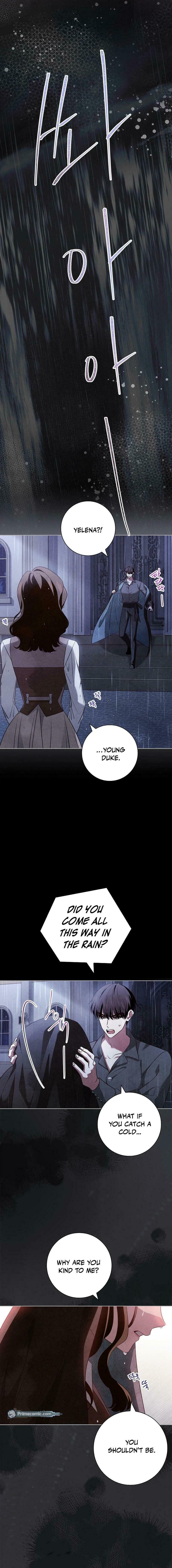 Leave the Divorce to a Professional Lawyer