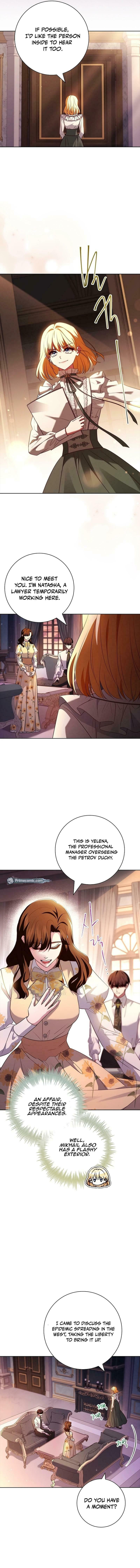 Leave the Divorce to a Professional Lawyer