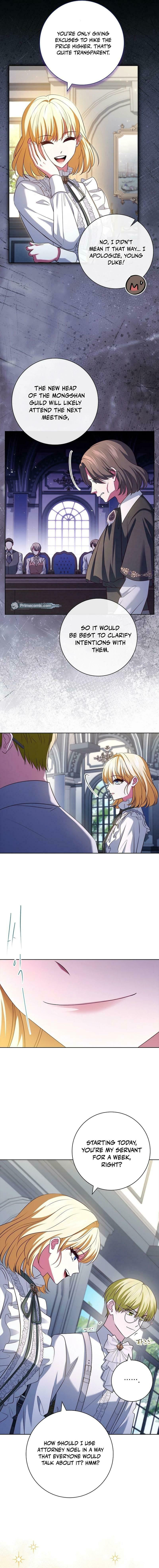 Leave the Divorce to a Professional Lawyer