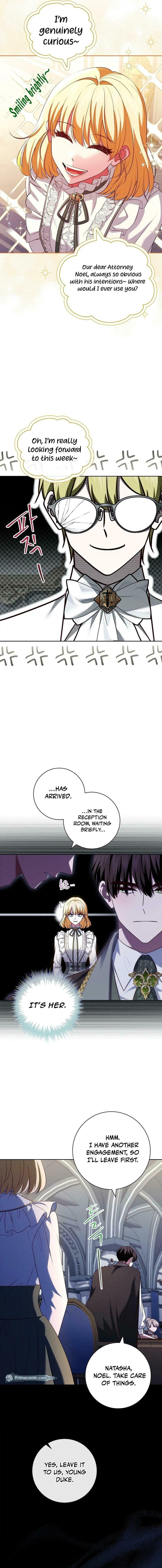 Leave the Divorce to a Professional Lawyer