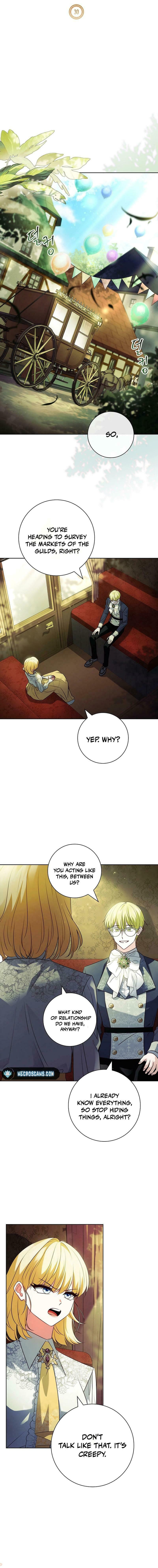 Leave the Divorce to a Professional Lawyer