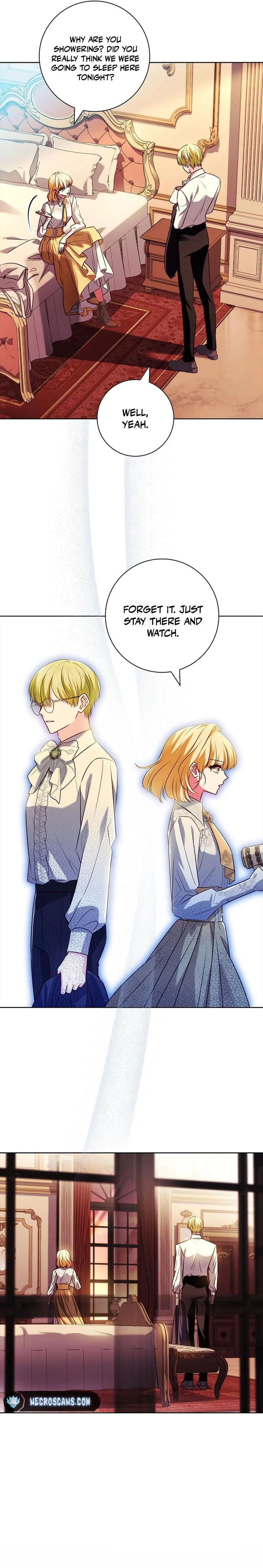 Leave the Divorce to a Professional Lawyer