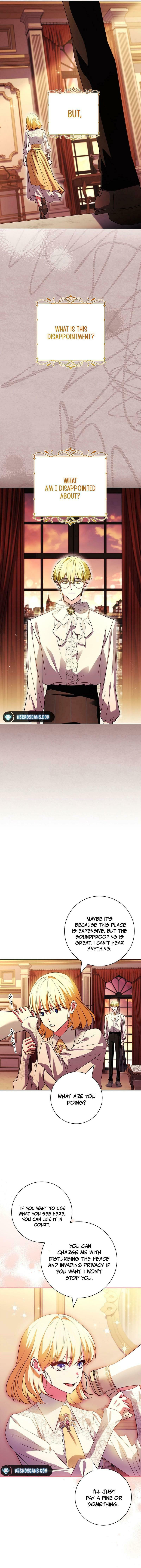 Leave the Divorce to a Professional Lawyer