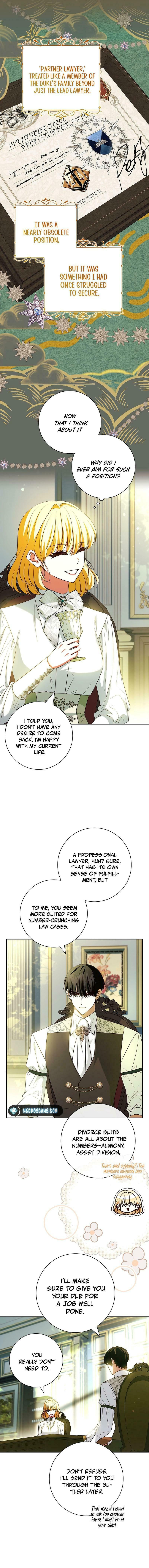 Leave the Divorce to a Professional Lawyer