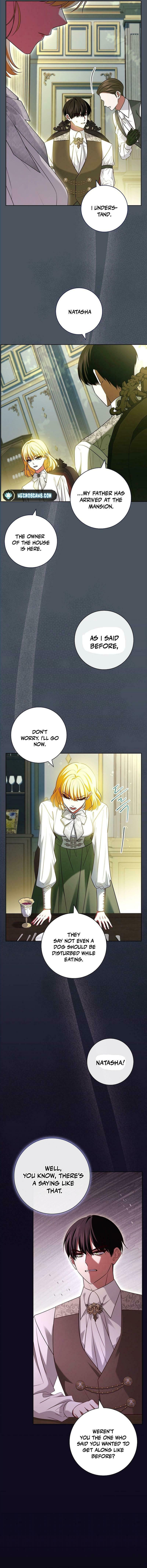 Leave the Divorce to a Professional Lawyer