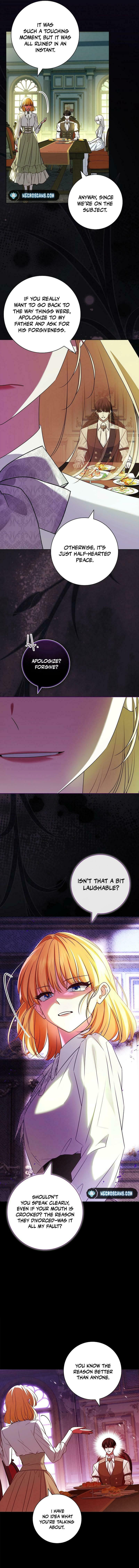 Leave the Divorce to a Professional Lawyer