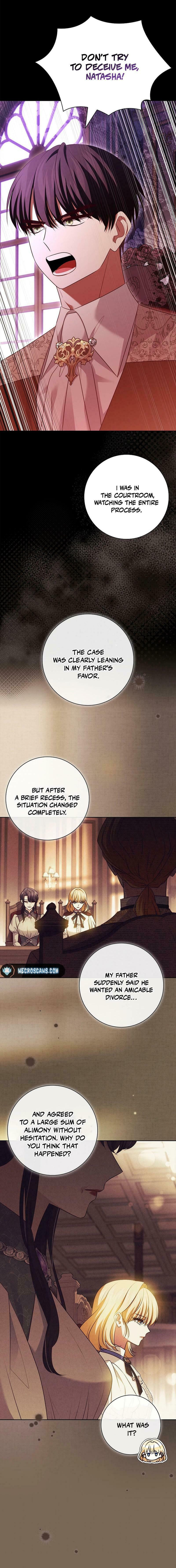 Leave the Divorce to a Professional Lawyer