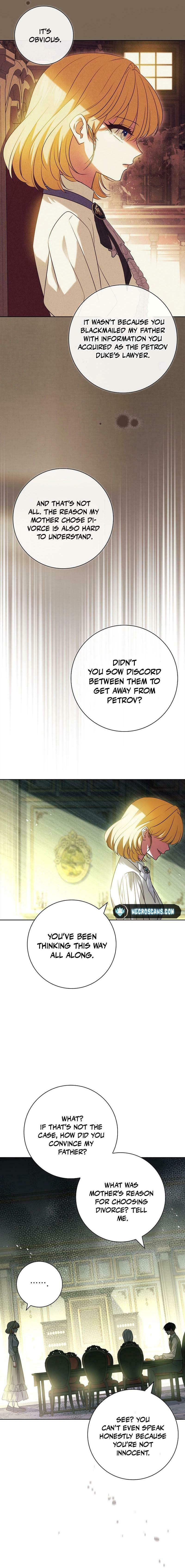 Leave the Divorce to a Professional Lawyer