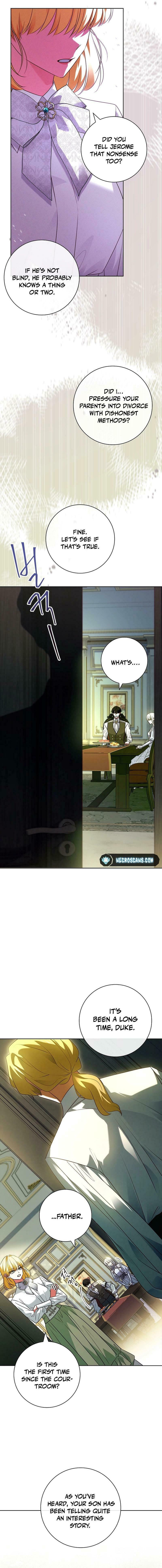 Leave the Divorce to a Professional Lawyer