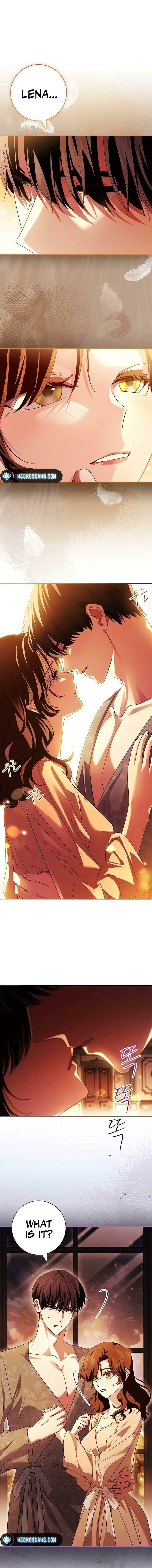 Leave the Divorce to a Professional Lawyer