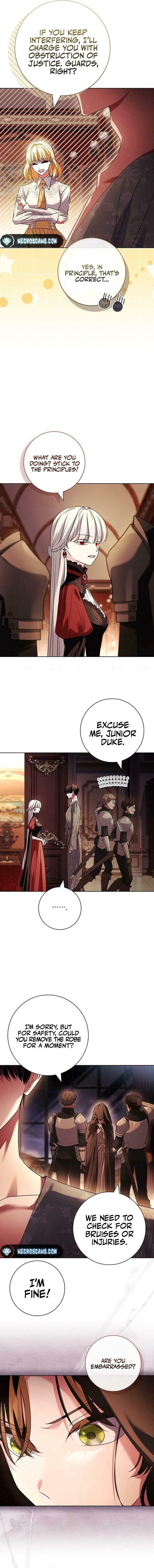 Leave the Divorce to a Professional Lawyer