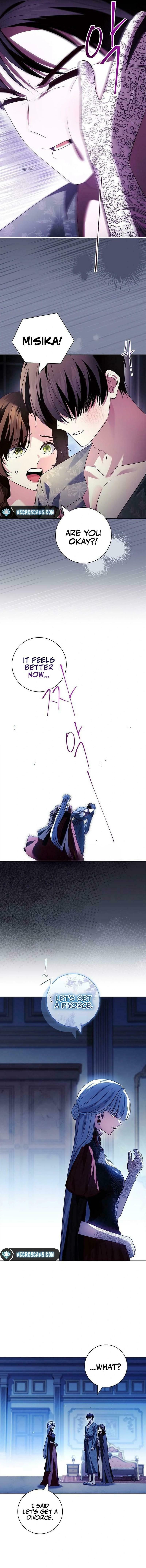 Leave the Divorce to a Professional Lawyer