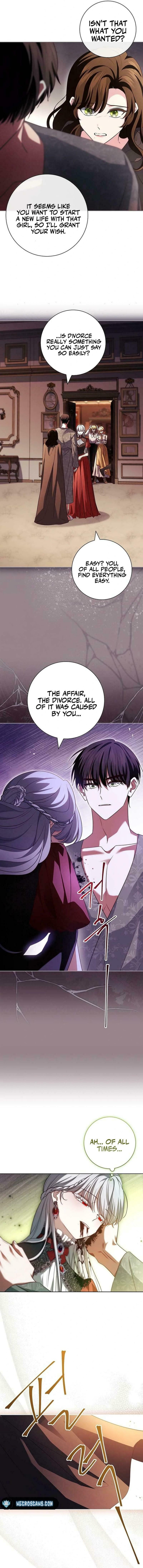 Leave the Divorce to a Professional Lawyer