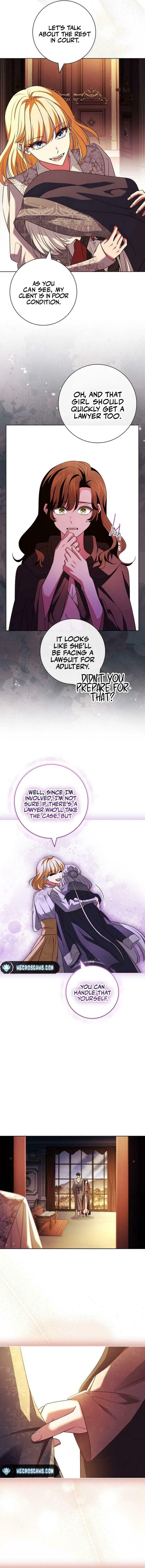 Leave the Divorce to a Professional Lawyer