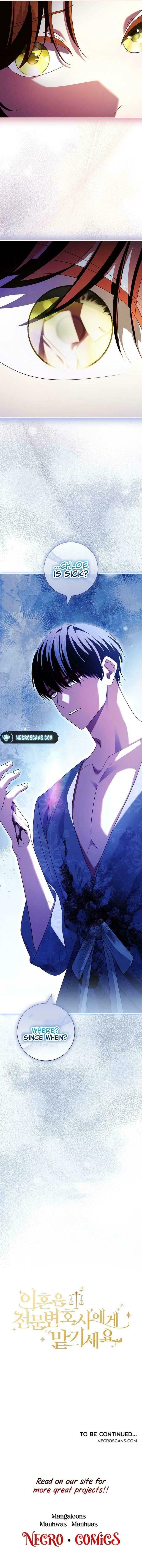 Leave the Divorce to a Professional Lawyer