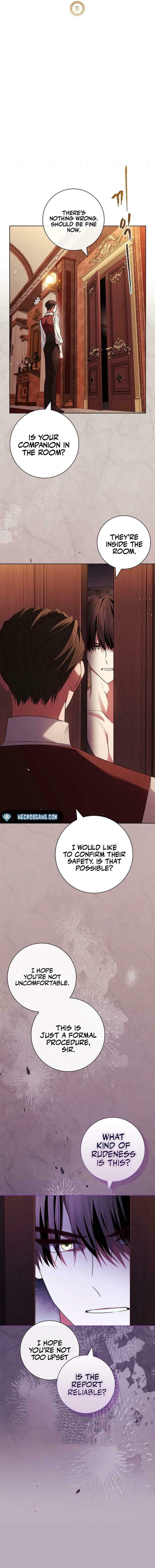 Leave the Divorce to a Professional Lawyer