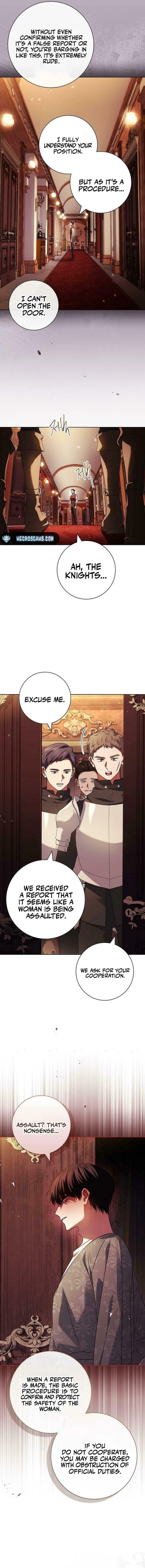 Leave the Divorce to a Professional Lawyer