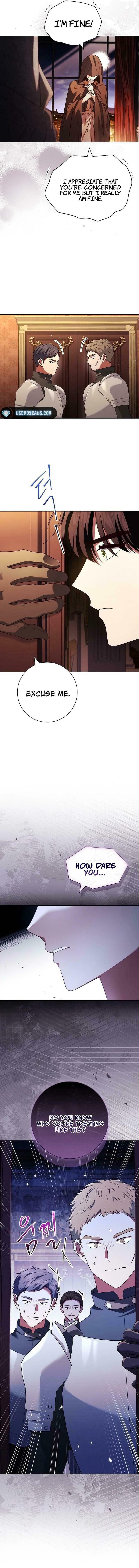 Leave the Divorce to a Professional Lawyer