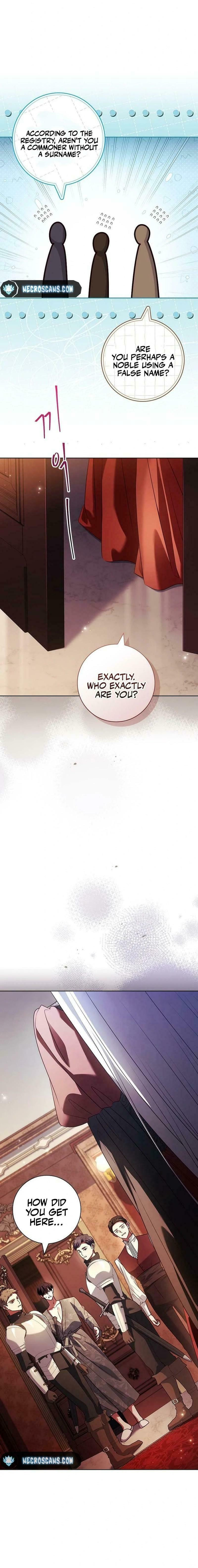 Leave the Divorce to a Professional Lawyer