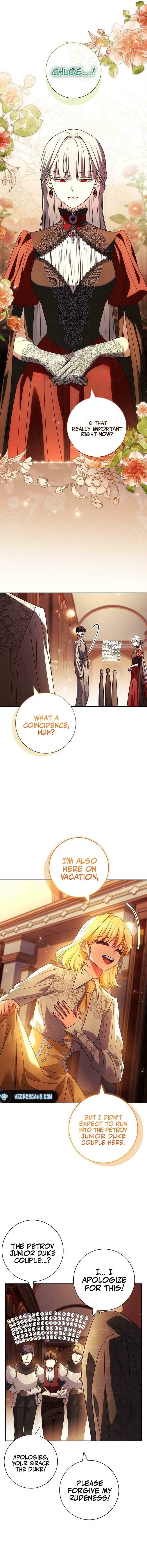 Leave the Divorce to a Professional Lawyer