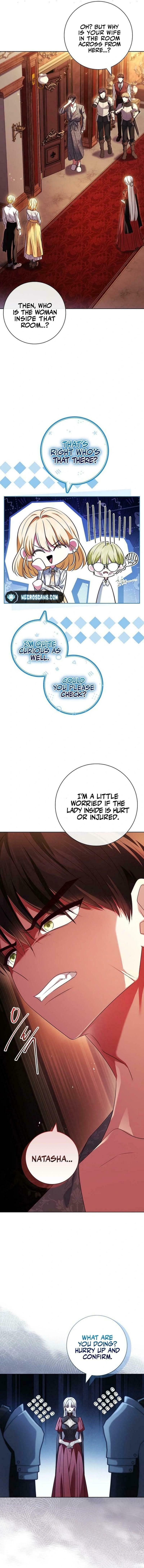 Leave the Divorce to a Professional Lawyer