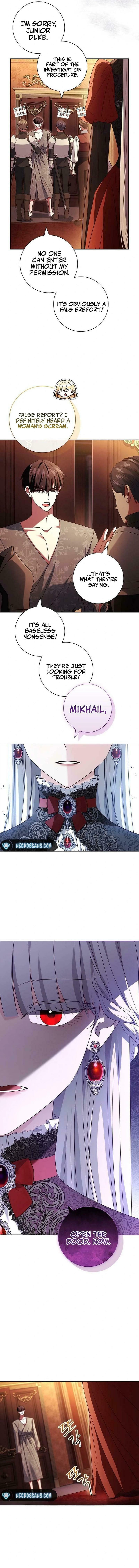 Leave the Divorce to a Professional Lawyer