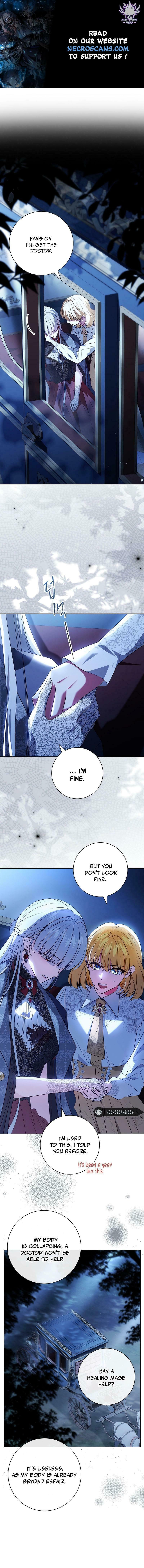 Leave the Divorce to a Professional Lawyer