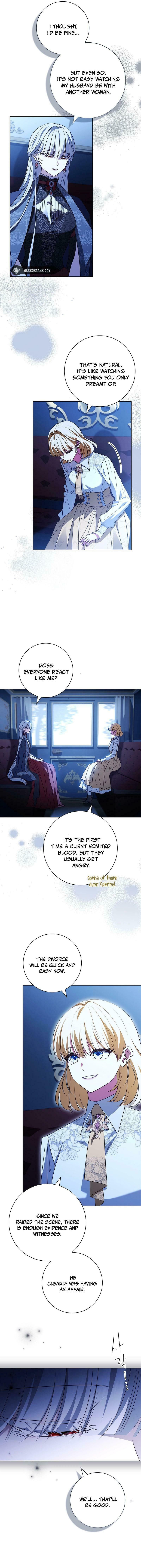 Leave the Divorce to a Professional Lawyer