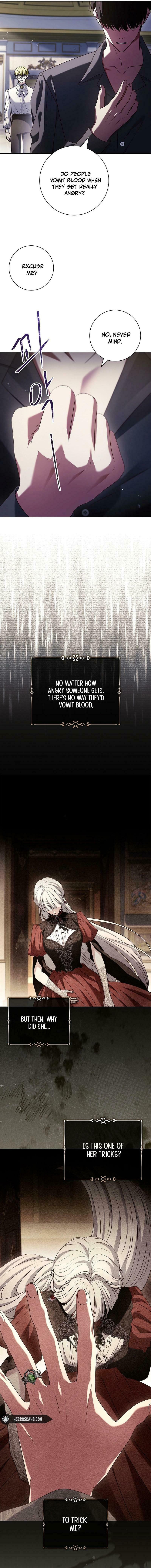 Leave the Divorce to a Professional Lawyer