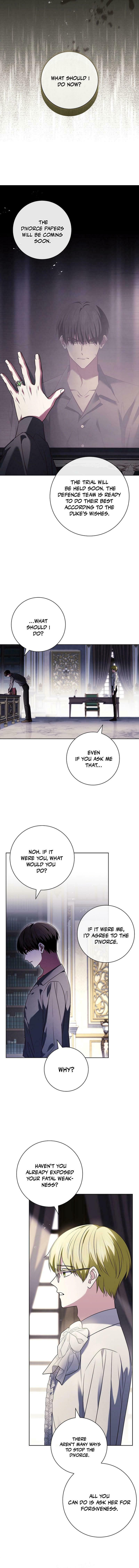 Leave the Divorce to a Professional Lawyer