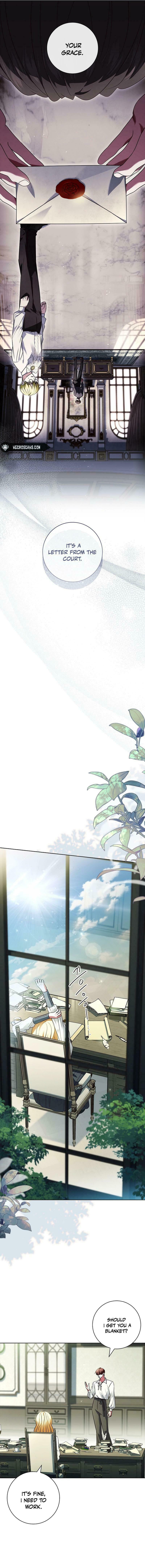 Leave the Divorce to a Professional Lawyer