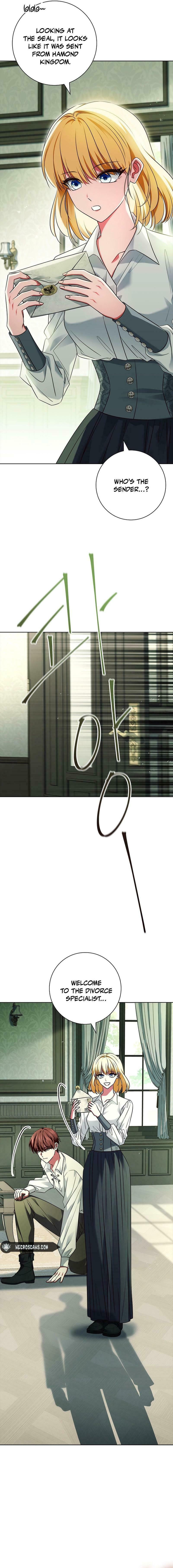 Leave the Divorce to a Professional Lawyer