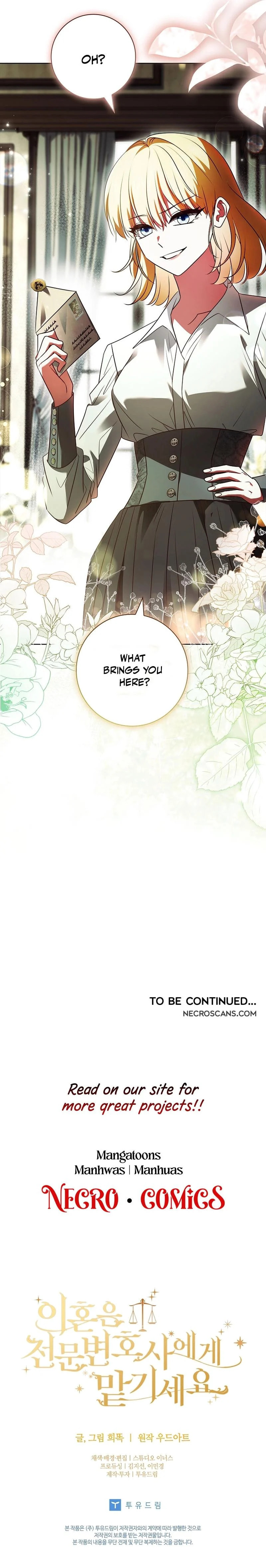 Leave the Divorce to a Professional Lawyer