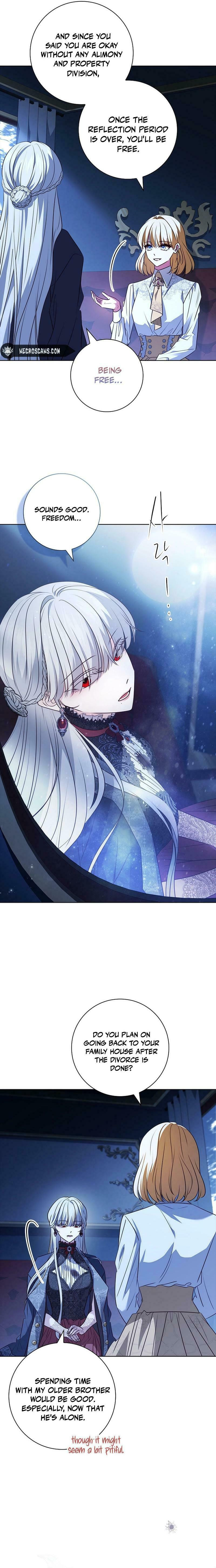 Leave the Divorce to a Professional Lawyer