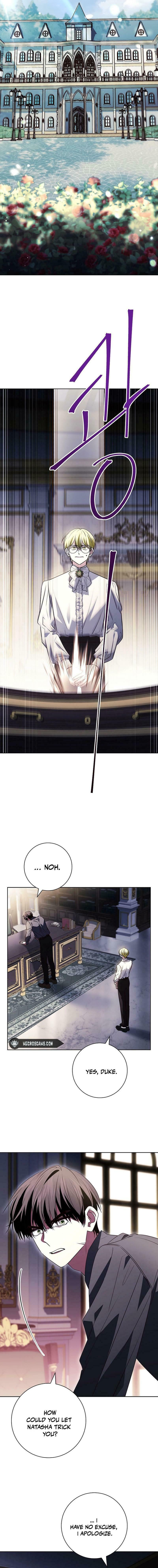 Leave the Divorce to a Professional Lawyer