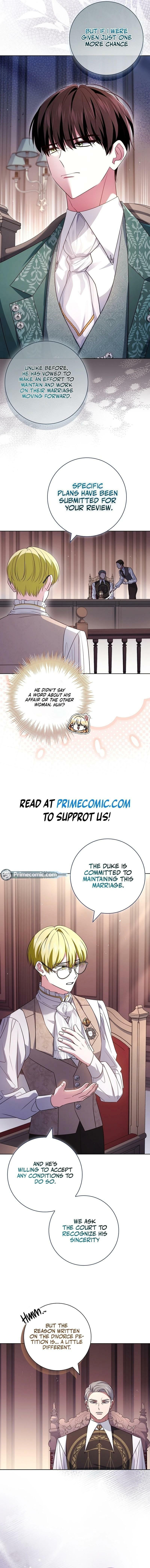 Leave the Divorce to a Professional Lawyer