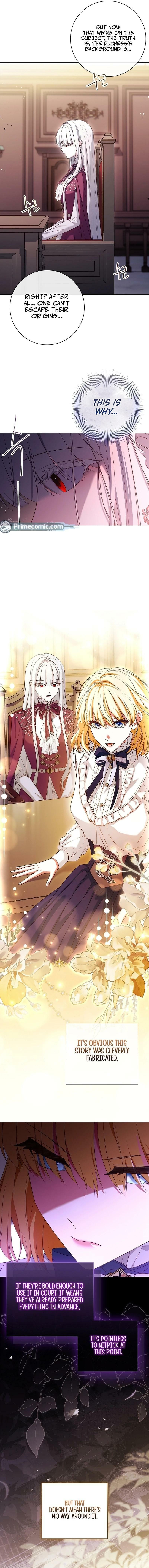 Leave the Divorce to a Professional Lawyer