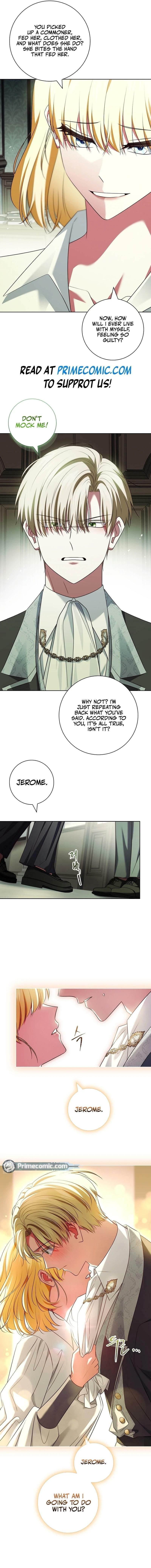 Leave the Divorce to a Professional Lawyer