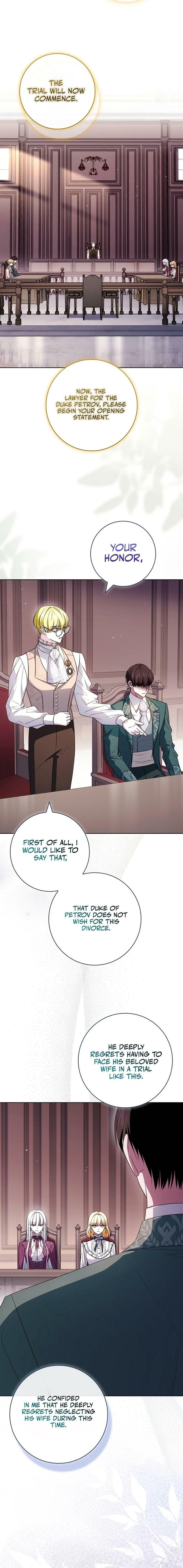 Leave the Divorce to a Professional Lawyer