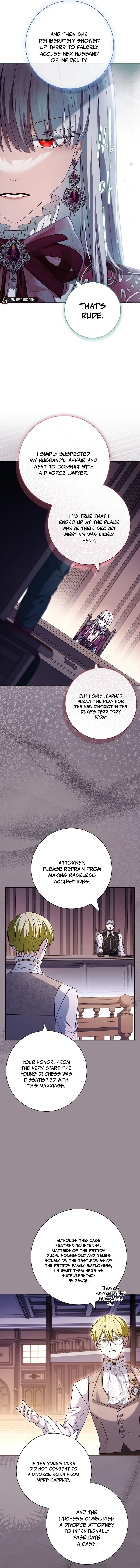 Leave the Divorce to a Professional Lawyer