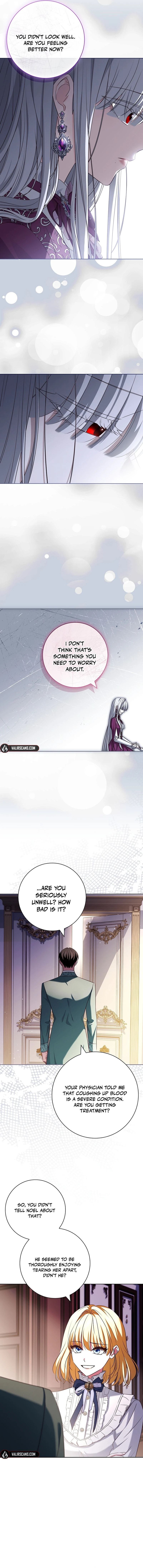 Leave the Divorce to a Professional Lawyer