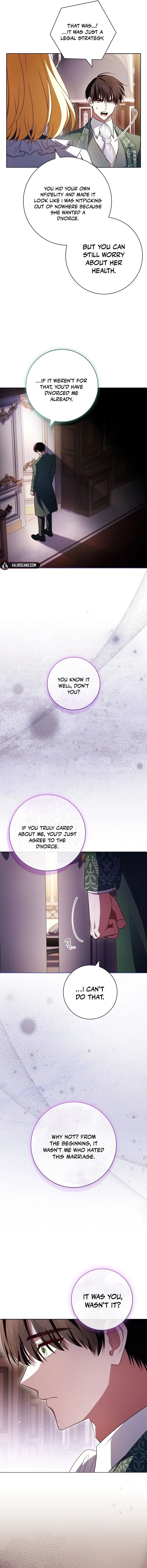 Leave the Divorce to a Professional Lawyer