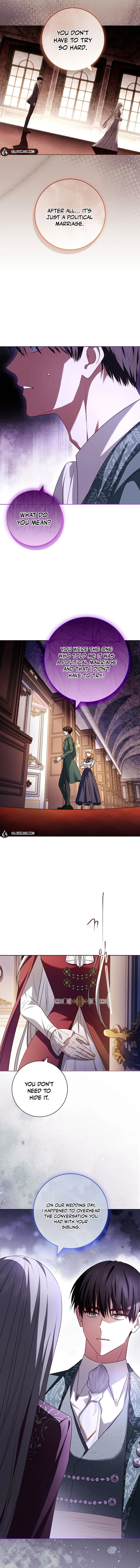 Leave the Divorce to a Professional Lawyer