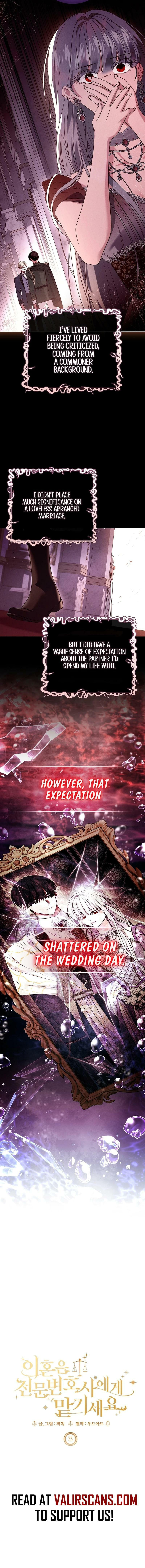 Leave the Divorce to a Professional Lawyer