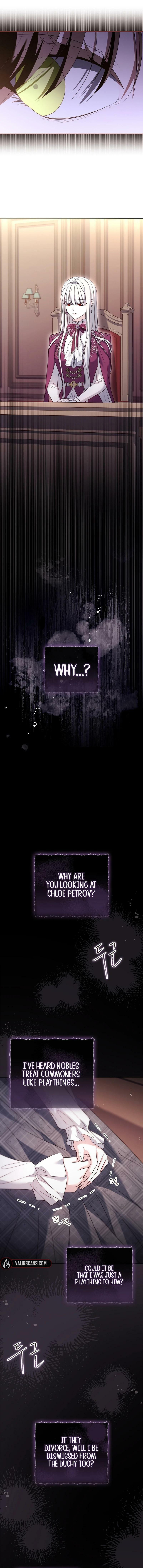 Leave the Divorce to a Professional Lawyer