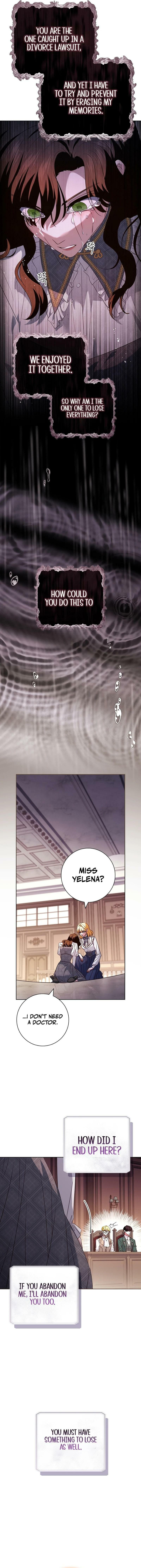 Leave the Divorce to a Professional Lawyer