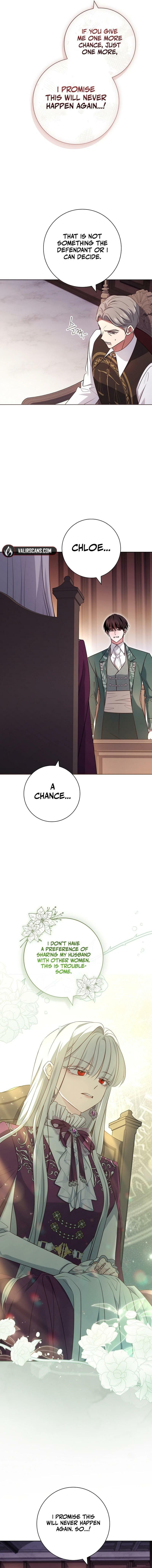 Leave the Divorce to a Professional Lawyer