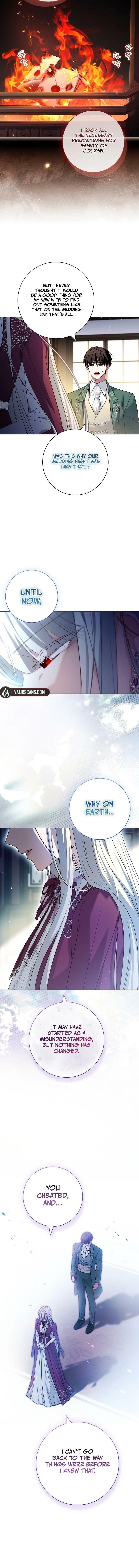 Leave the Divorce to a Professional Lawyer