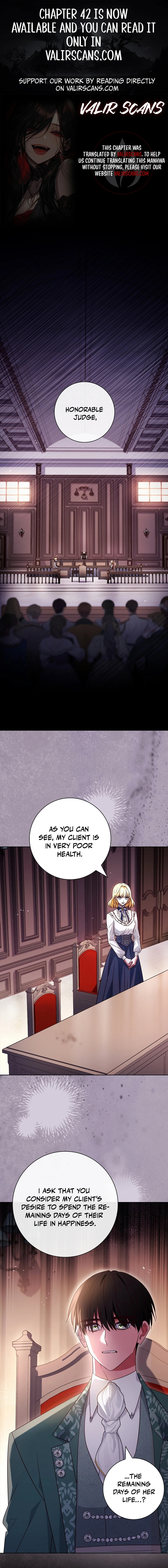 Leave the Divorce to a Professional Lawyer